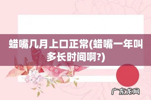 蜡嘴一年叫多长时间啊? 蜡嘴几月上口正常