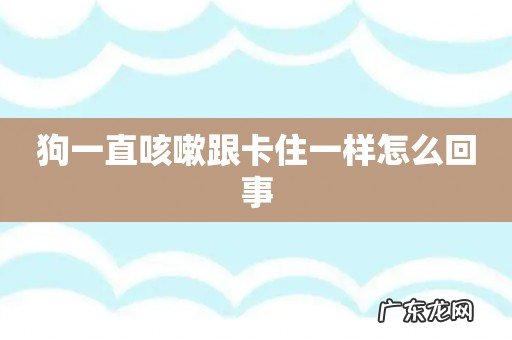 狗一直咳嗽跟卡住一样怎么回事