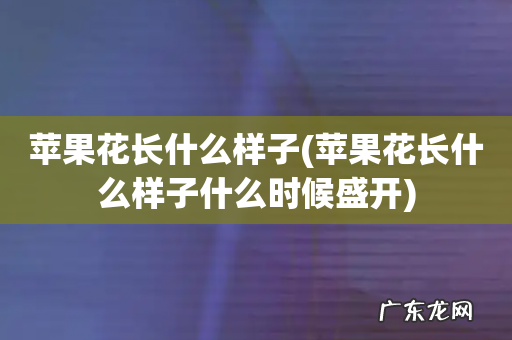 苹果花长什么样子什么时候盛开 苹果花长什么样子