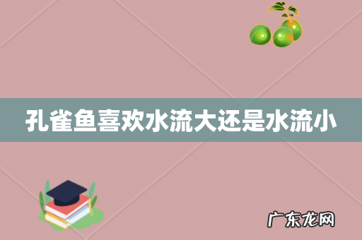 孔雀鱼喜欢水流大还是水流小