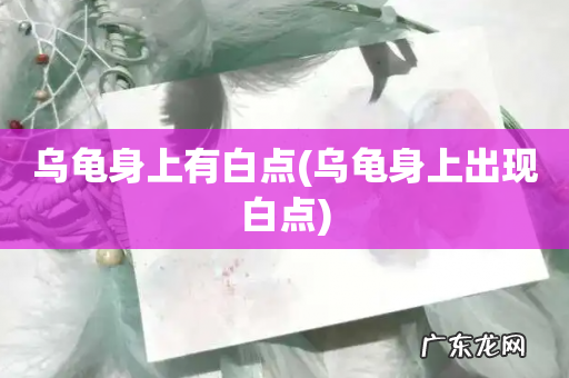 乌龟身上出现白点 乌龟身上有白点