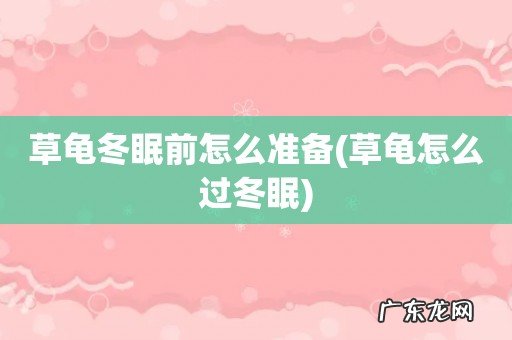 草龟怎么过冬眠 草龟冬眠前怎么准备