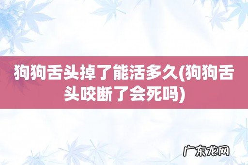 狗狗舌头咬断了会死吗 狗狗舌头掉了能活多久