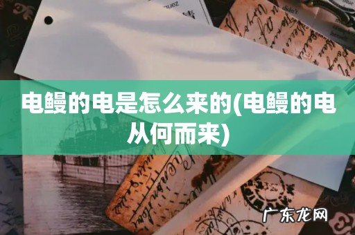 电鳗的电从何而来 电鳗的电是怎么来的