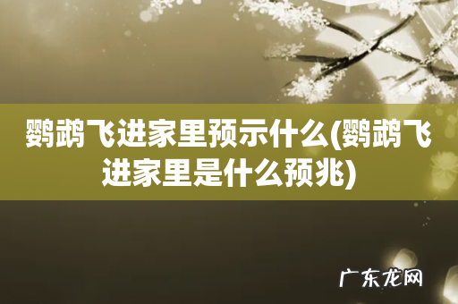 鹦鹉飞进家里是什么预兆 鹦鹉飞进家里预示什么