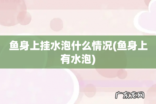 鱼身上有水泡 鱼身上挂水泡什么情况