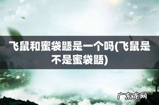飞鼠是不是蜜袋鼯 飞鼠和蜜袋鼯是一个吗