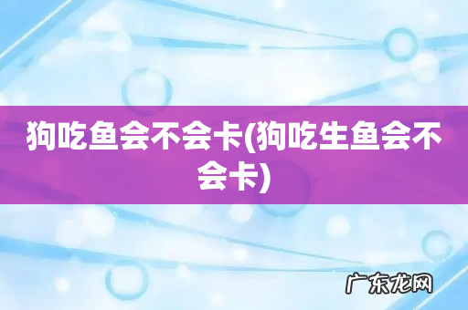 狗吃生鱼会不会卡 狗吃鱼会不会卡