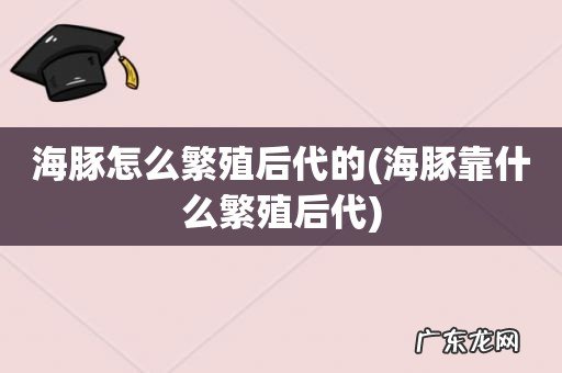 海豚靠什么繁殖后代 海豚怎么繁殖后代的