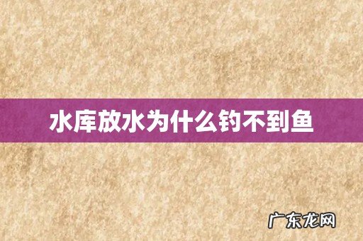 水库放水为什么钓不到鱼
