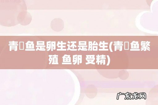 青鳉鱼繁殖 鱼卵 受精 青鳉鱼是卵生还是胎生