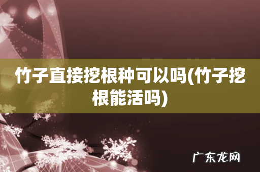 竹子挖根能活吗 竹子直接挖根种可以吗