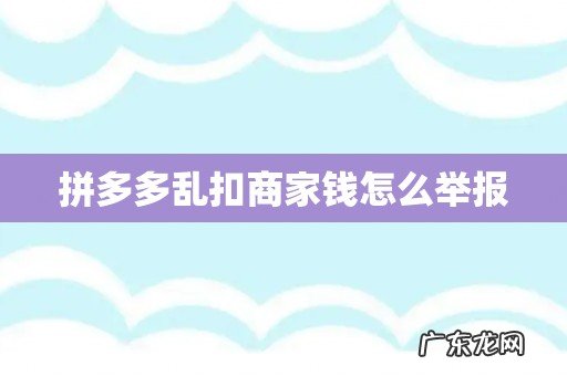 拼多多乱扣商家钱怎么举报