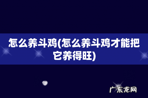 怎么养斗鸡才能把它养得旺 怎么养斗鸡