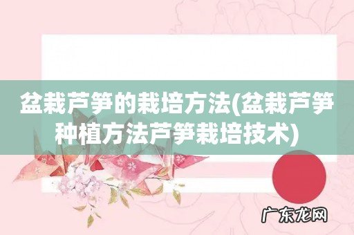 盆栽芦笋种植方法芦笋栽培技术 盆栽芦笋的栽培方法