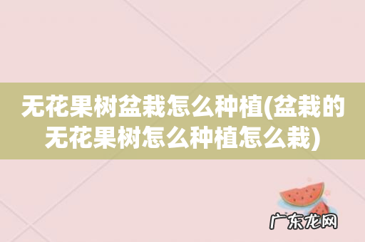 盆栽的无花果树怎么种植怎么栽 无花果树盆栽怎么种植