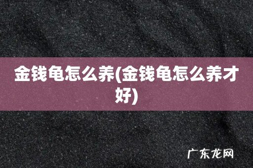 金钱龟怎么养才好 金钱龟怎么养