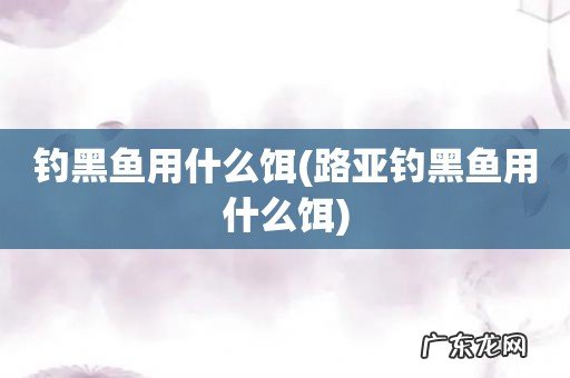 路亚钓黑鱼用什么饵 钓黑鱼用什么饵