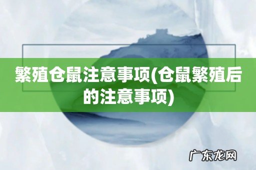 仓鼠繁殖后的注意事项 繁殖仓鼠注意事项