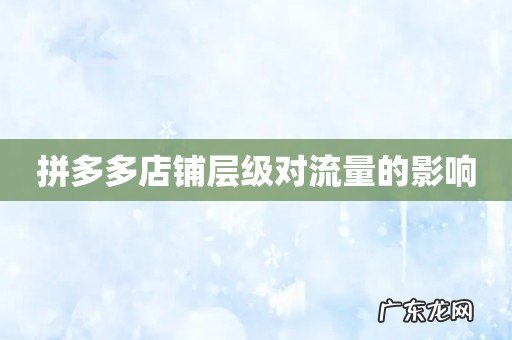 拼多多店铺层级对流量的影响