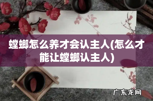 怎么才能让螳螂认主人 螳螂怎么养才会认主人