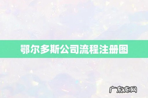 鄂尔多斯公司流程注册图