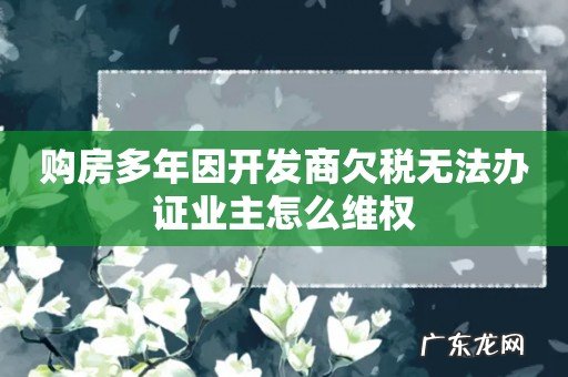 购房多年因开发商欠税无法办证业主怎么维权