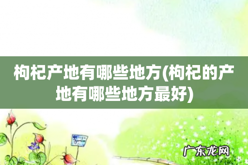 枸杞的产地有哪些地方最好 枸杞产地有哪些地方