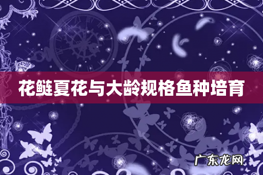 花鲢夏花与大龄规格鱼种培育