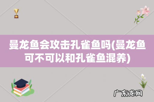 曼龙鱼可不可以和孔雀鱼混养 曼龙鱼会攻击孔雀鱼吗