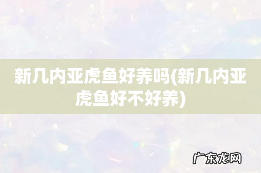 新几内亚虎鱼好不好养 新几内亚虎鱼好养吗