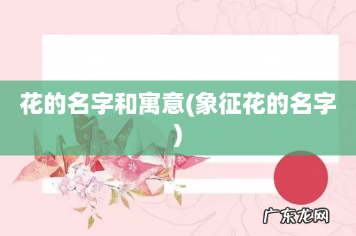 象征花的名字 花的名字和寓意