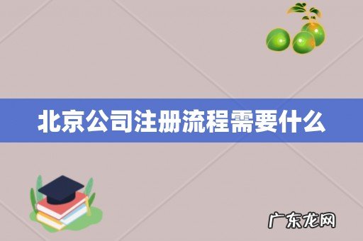 北京公司注册流程需要什么