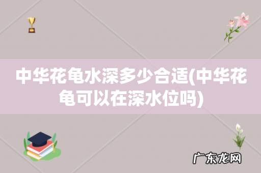 中华花龟可以在深水位吗 中华花龟水深多少合适