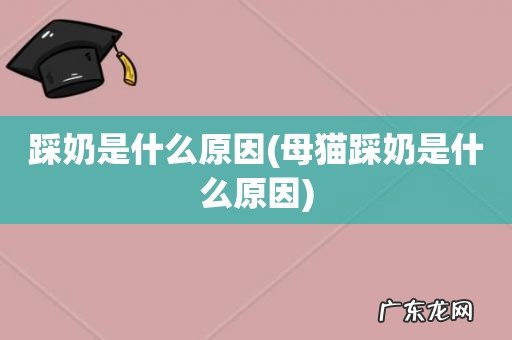 母猫踩奶是什么原因 踩奶是什么原因