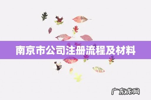 南京市公司注册流程及材料