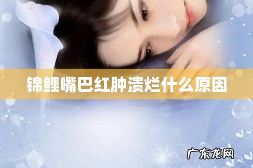 锦鲤嘴巴红肿溃烂什么原因