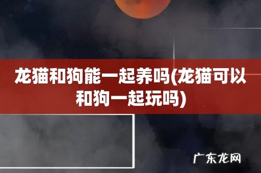 龙猫可以和狗一起玩吗 龙猫和狗能一起养吗