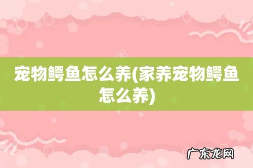 家养宠物鳄鱼怎么养 宠物鳄鱼怎么养