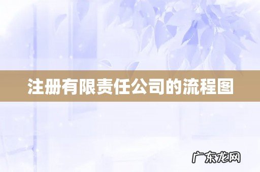 注册有限责任公司的流程图