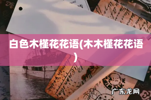 木木槿花花语 白色木槿花花语