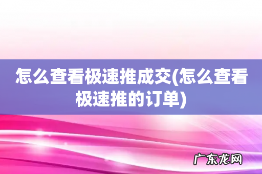 怎么查看极速推的订单 怎么查看极速推成交