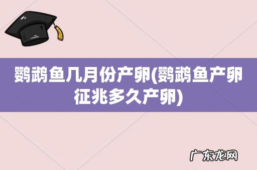 鹦鹉鱼产卵征兆多久产卵 鹦鹉鱼几月份产卵