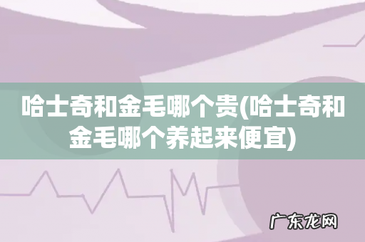 哈士奇和金毛哪个养起来便宜 哈士奇和金毛哪个贵
