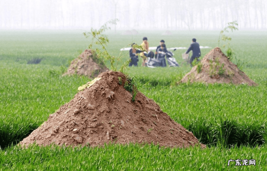 风水中的地气 好风水没有地气