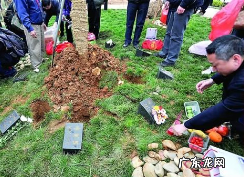 风水中的地气 好风水没有地气