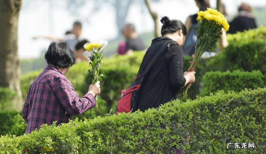 风水中的地气 好风水没有地气