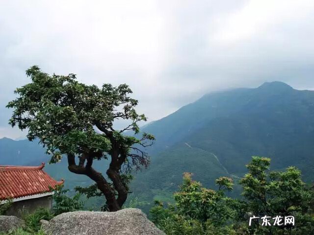 盘古大观风水谁给看的 盘古 风水