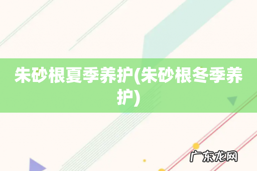 朱砂根冬季养护 朱砂根夏季养护