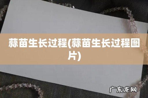蒜苗生长过程图片 蒜苗生长过程